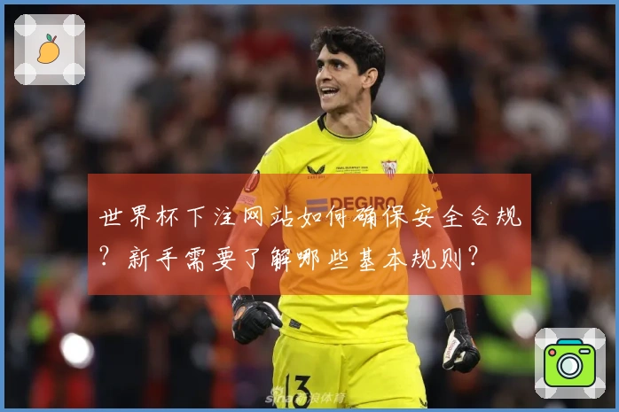 世界杯下注网站如何确保安全合规？新手需要了解哪些基本规则？