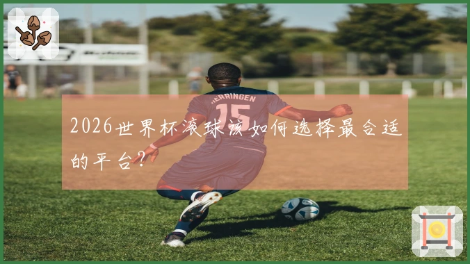 2026世界杯滚球该如何选择最合适的平台？