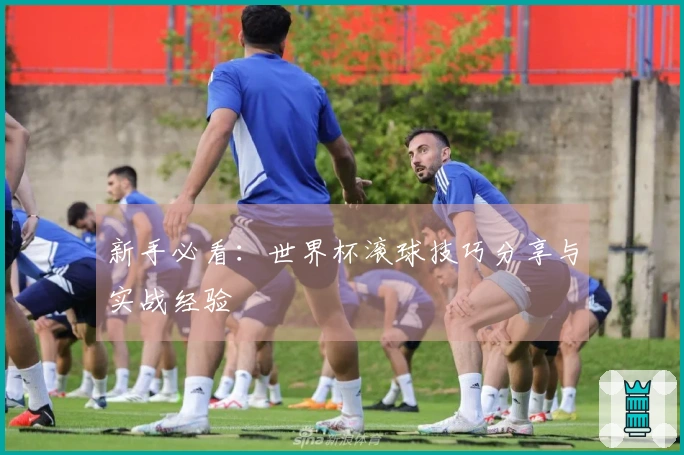 新手必看：世界杯滚球技巧分享与实战经验