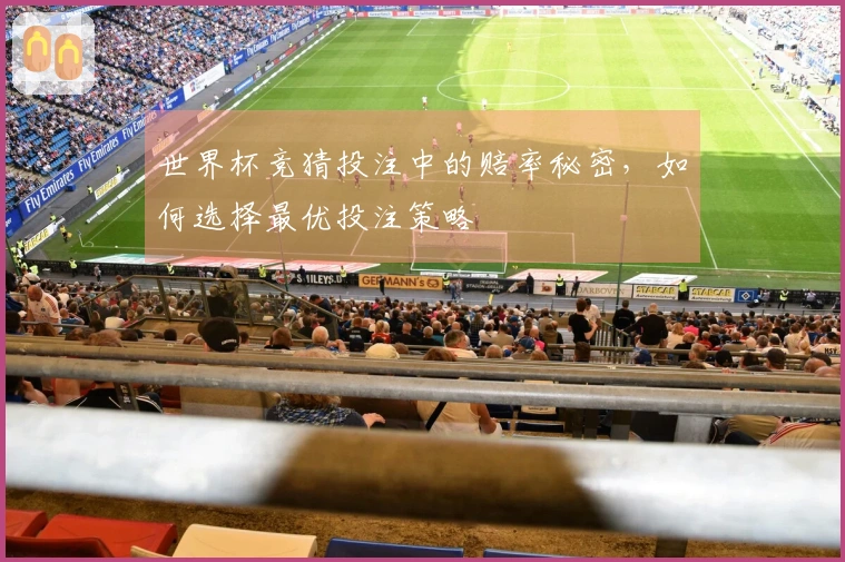世界杯竞猜投注中的赔率秘密，如何选择最优投注策略