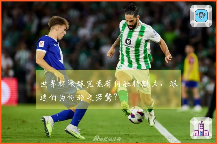 世界杯滚球究竟有何独特魅力，球迷们为何趋之若鹜？