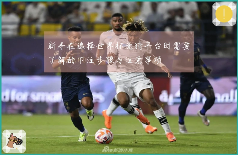新手在选择世界杯竞猜平台时需要了解的下注步骤与注意事项