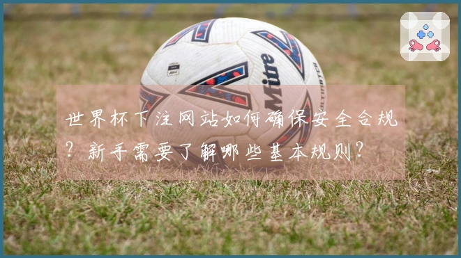 世界杯下注网站如何确保安全合规？新手需要了解哪些基本规则？