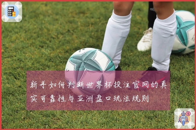新手如何判断世界杯投注官网的真实可靠性与亚洲盘口玩法规则