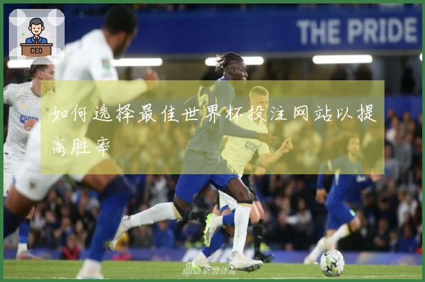 如何选择最佳世界杯投注网站以提高胜率