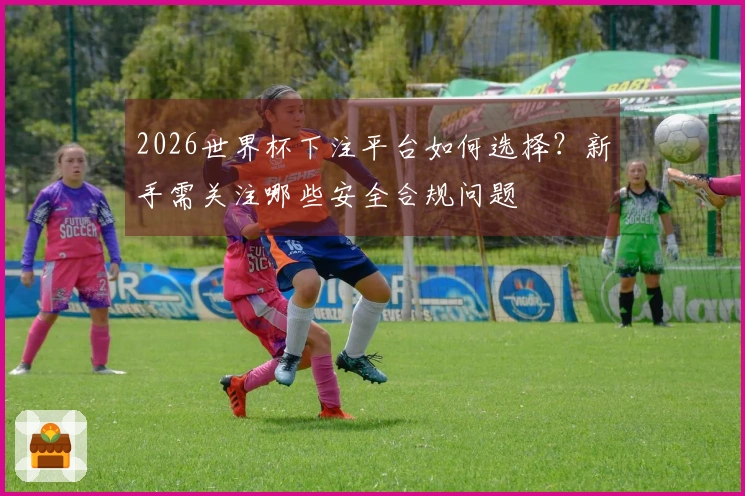2026世界杯下注平台如何选择？新手需关注哪些安全合规问题