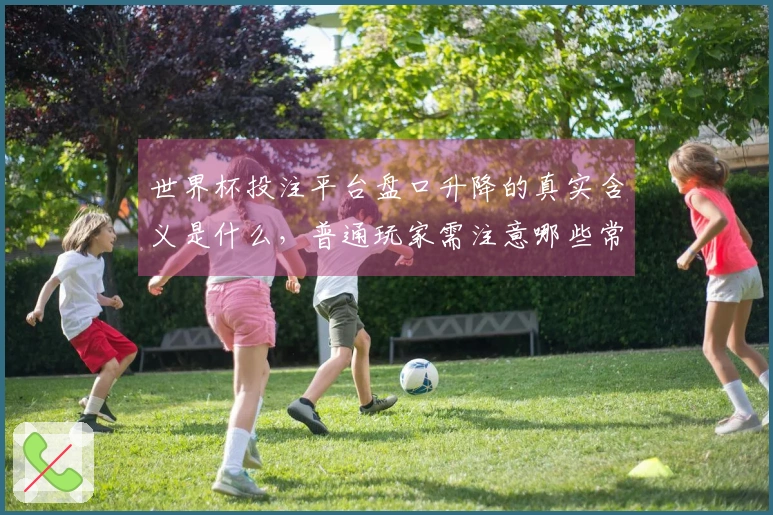 世界杯投注平台盘口升降的真实含义是什么，普通玩家需注意哪些常见误区