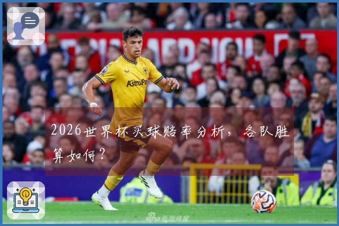 2026世界杯买球赔率分析，各队胜算如何？