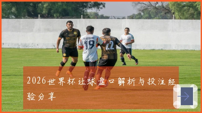 2026世界杯让球盘口解析与投注经验分享