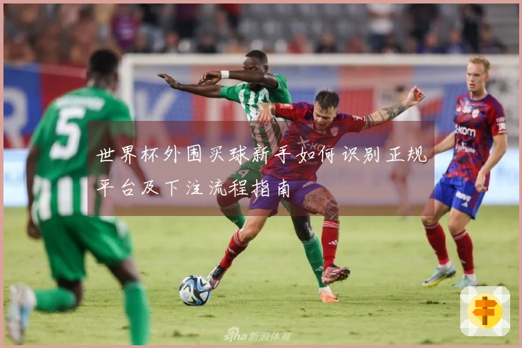 世界杯外围买球新手如何识别正规平台及下注流程指南