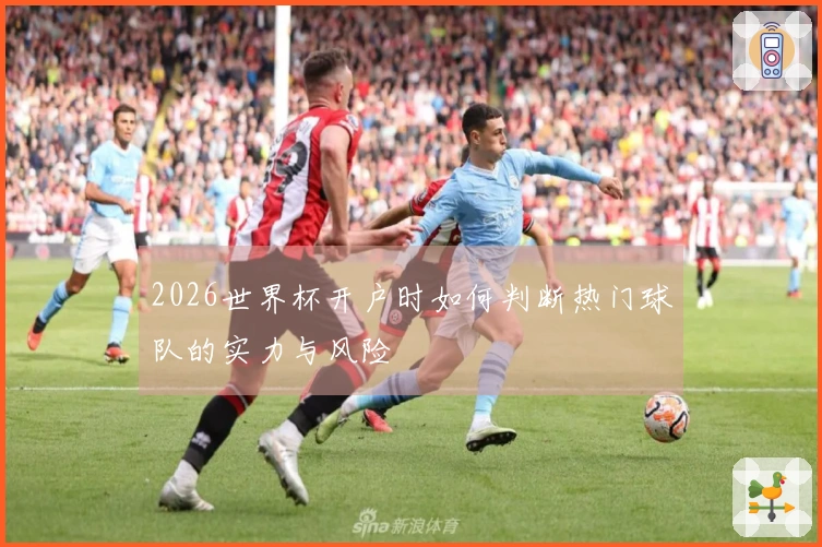 2026世界杯开户时如何判断热门球队的实力与风险