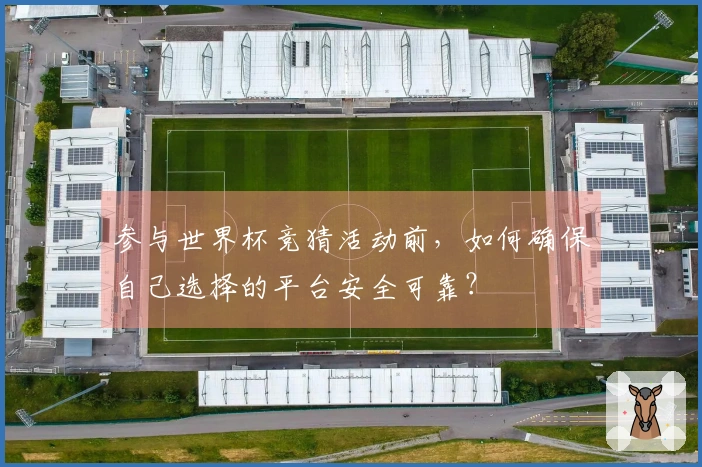 参与世界杯竞猜活动前，如何确保自己选择的平台安全可靠？