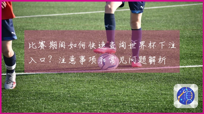 比赛期间如何快速查询世界杯下注入口？注意事项和常见问题解析