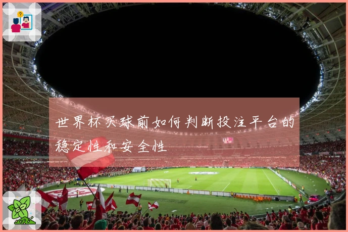 世界杯买球前如何判断投注平台的稳定性和安全性