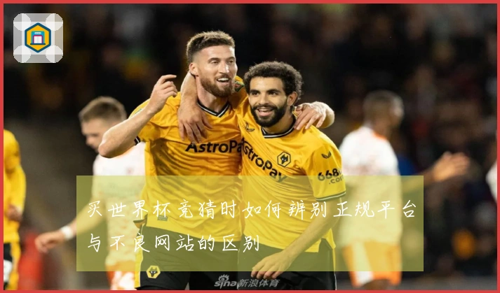 买世界杯竞猜时如何辨别正规平台与不良网站的区别