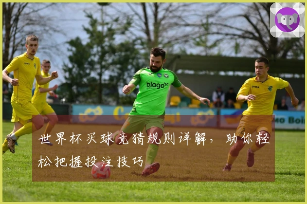 世界杯买球竞猜规则详解，助你轻松把握投注技巧