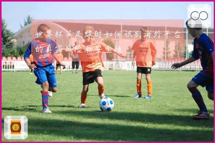 世界杯买足球时如何识别海外平台的真实风险和安全性