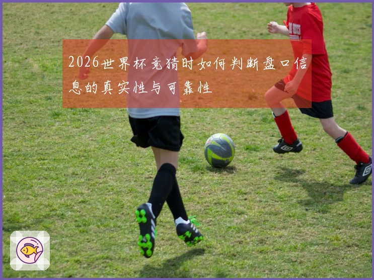 2026世界杯竞猜时如何判断盘口信息的真实性与可靠性
