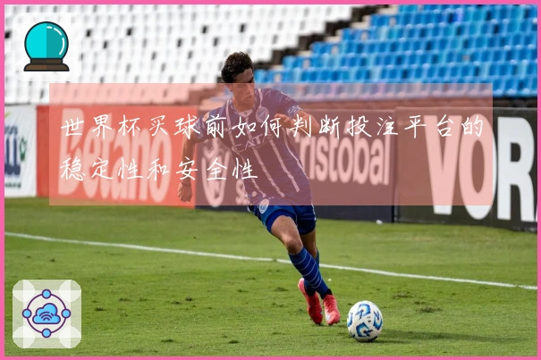 世界杯买球前如何判断投注平台的稳定性和安全性