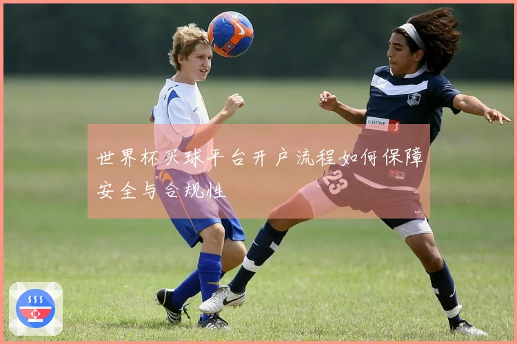 世界杯买球平台开户流程如何保障安全与合规性