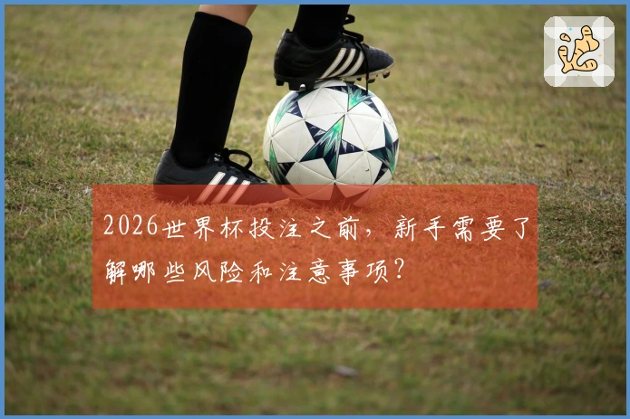 2026世界杯投注之前，新手需要了解哪些风险和注意事项？