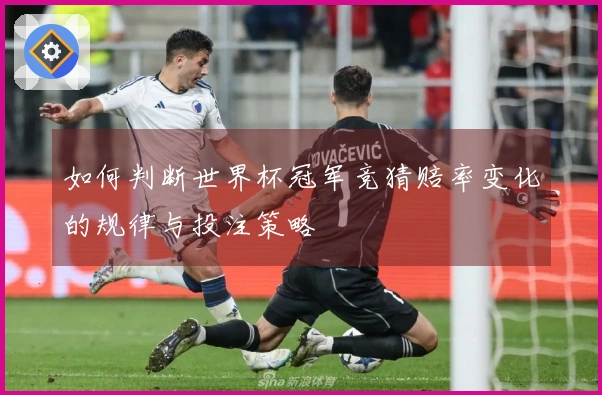 如何判断世界杯冠军竞猜赔率变化的规律与投注策略