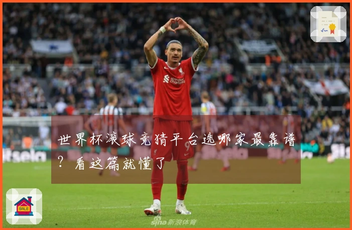 世界杯滚球竞猜平台选哪家最靠谱？看这篇就懂了