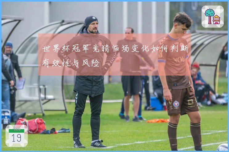 世界杯冠军竞猜临场变化如何判断有效性与风险