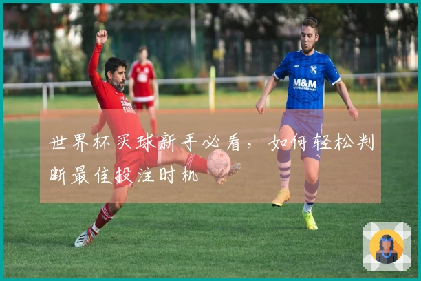 世界杯买球新手必看，如何轻松判断最佳投注时机
