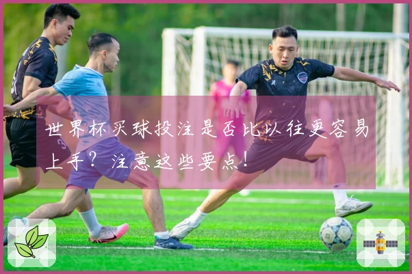 世界杯买球投注是否比以往更容易上手？注意这些要点！