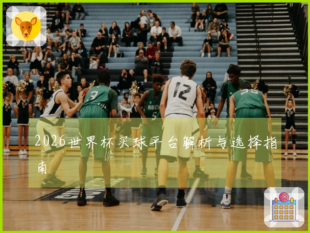 2026世界杯买球平台解析与选择指南