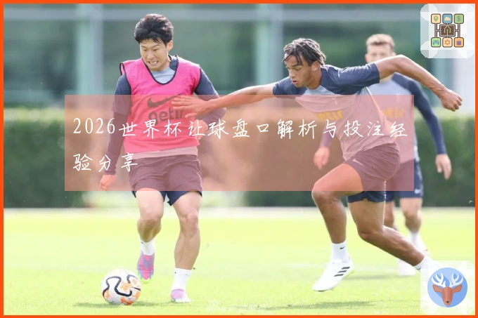 2026世界杯让球盘口解析与投注经验分享