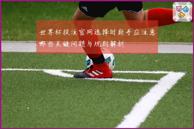 世界杯投注官网选择时新手应注意哪些关键问题与规则解析