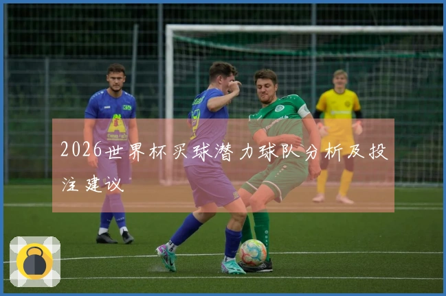2026世界杯买球潜力球队分析及投注建议