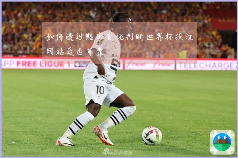 如何透过赔率变化判断世界杯投注网站是否可靠